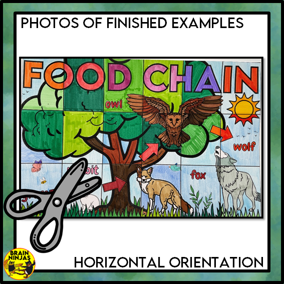 Food Chains Collaborative Poster Colouring Activity | Paper