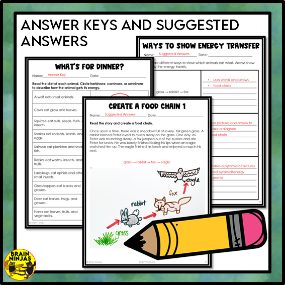 Food Chains Between Canadian Plants and Animals Lesson and Activities | Paper and Digital