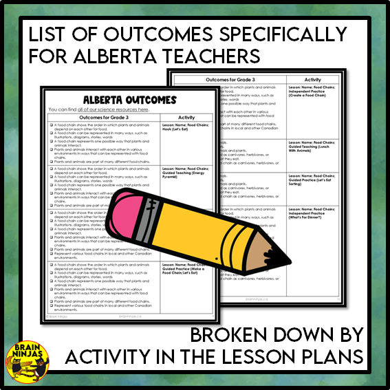 Food Chains Between Canadian Plants and Animals Lesson and Activities | Paper and Digital