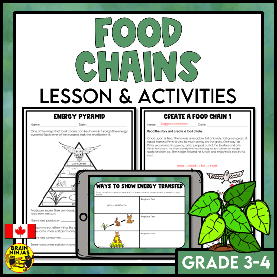 Food Chains Between Canadian Plants and Animals Lesson and Activities | Paper and Digital