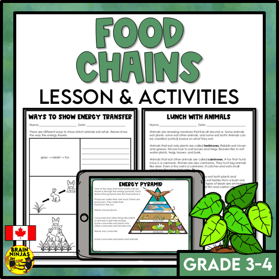 Food Chains Between Canadian Plants and Animals Lesson and Activities | Paper and Digital