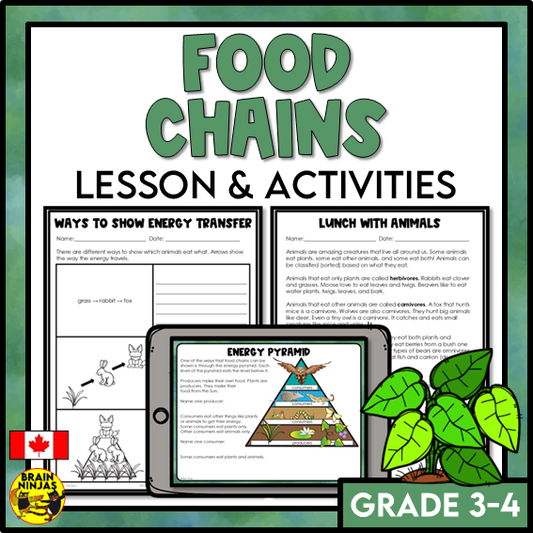 Food Chains Between Canadian Plants and Animals Lesson and Activities | Paper and Digital
