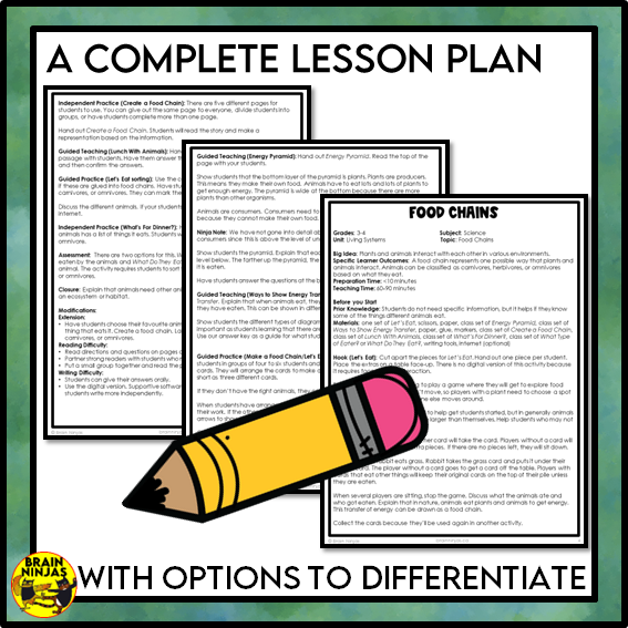 Food Chains Between Canadian Plants and Animals Lesson and Activities | Paper and Digital