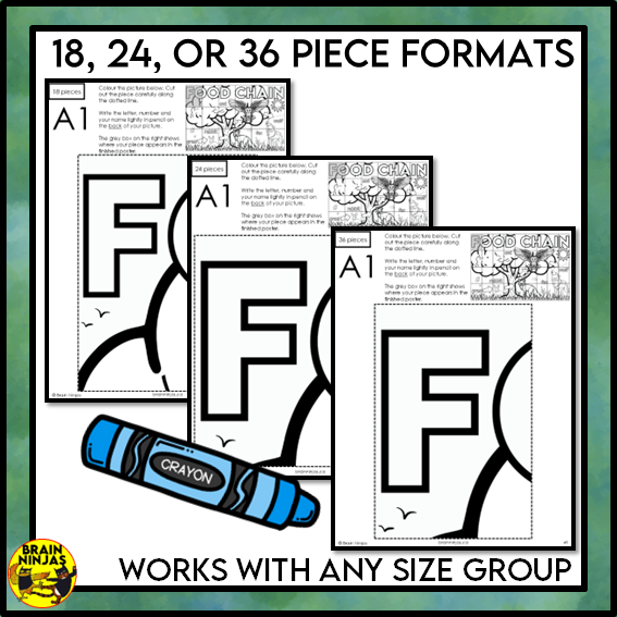 Food Chains Collaborative Poster Colouring Activity | Paper