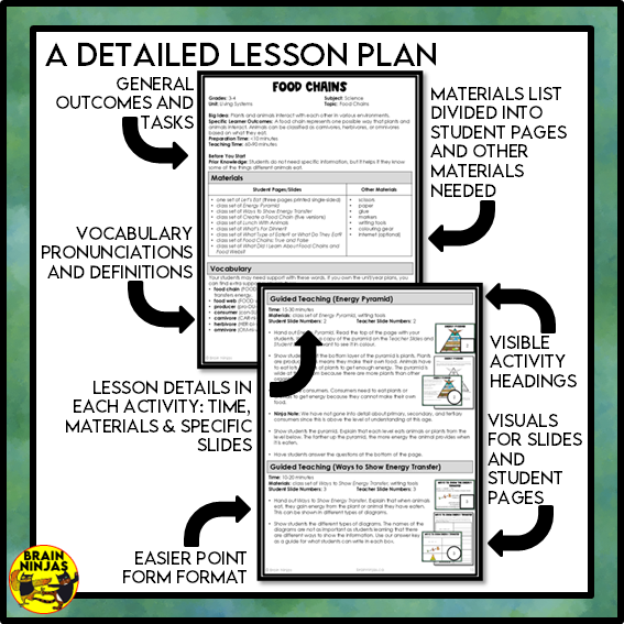 Food Chains Between Canadian Plants and Animals Lesson and Activities | Paper and Digital