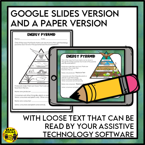 Food Chains Between Canadian Plants and Animals Lesson and Activities | Paper and Digital