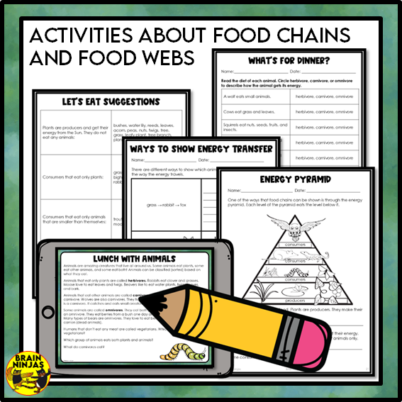 Food Chains Between Canadian Plants and Animals Lesson and Activities | Paper and Digital