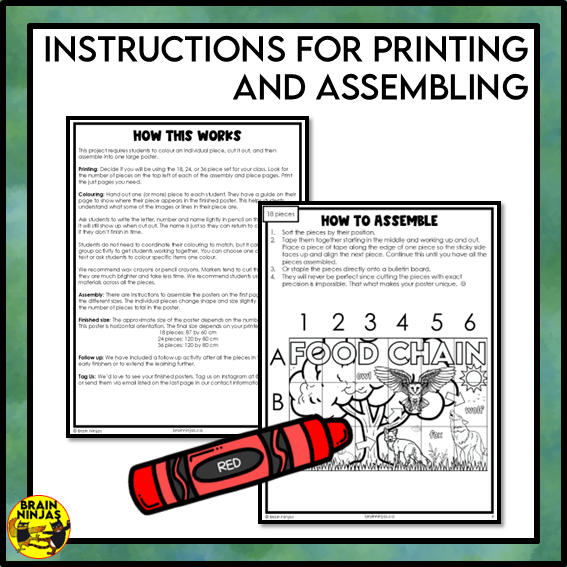 Food Chains Collaborative Poster Colouring Activity | Paper