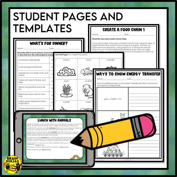 Food Chains Between Canadian Plants and Animals Lesson and Activities | Paper and Digital