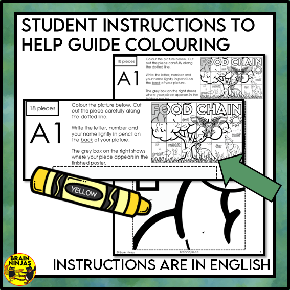 Food Chains Collaborative Poster Colouring Activity | Paper