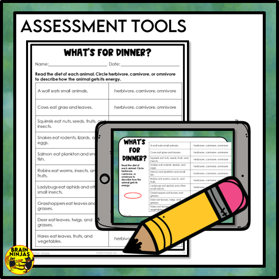 Food Chains Between Canadian Plants and Animals Lesson and Activities | Paper and Digital