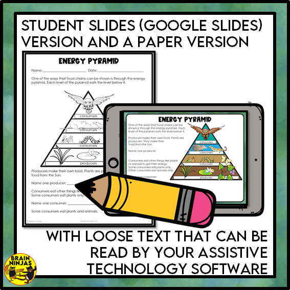 Food Chains Between Canadian Plants and Animals Lesson and Activities | Paper and Digital