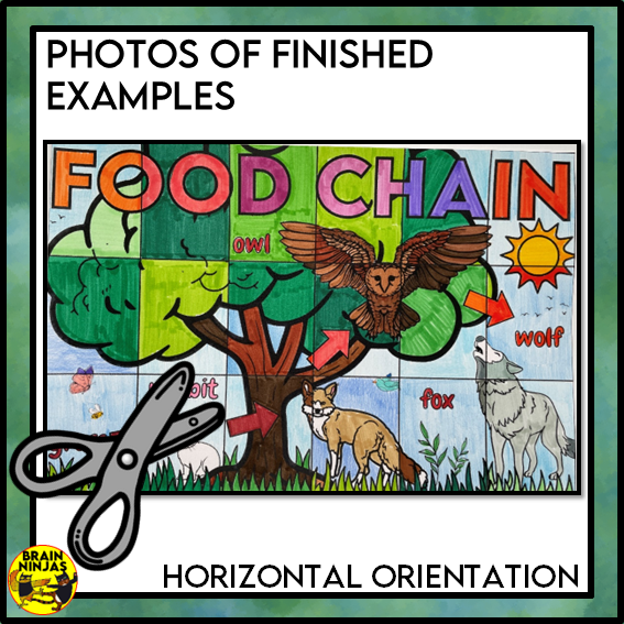 Food Chains Collaborative Poster Colouring Activity | Paper