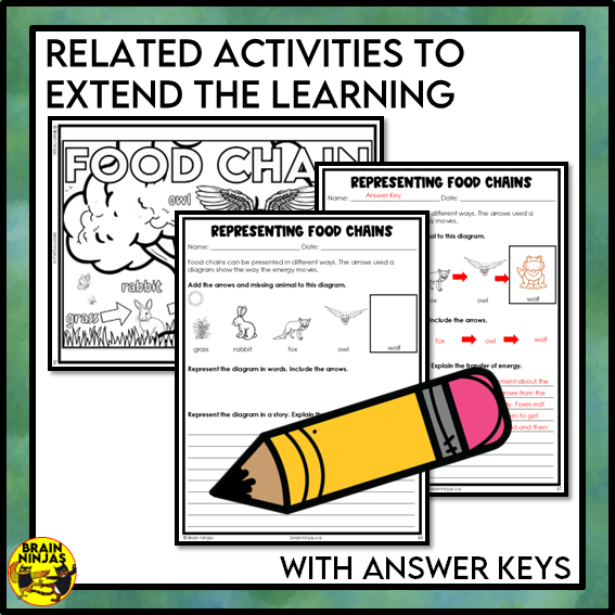 Food Chains Collaborative Poster Colouring Activity | Paper