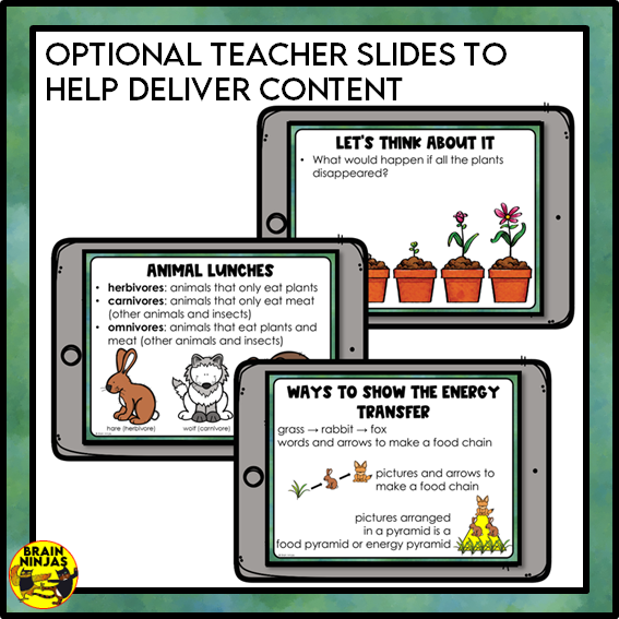 Food Chains Between Canadian Plants and Animals Lesson and Activities | Paper and Digital