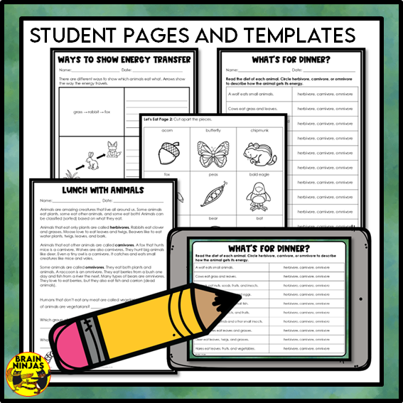 Food Chains Between Canadian Plants and Animals Lesson and Activities | Paper and Digital