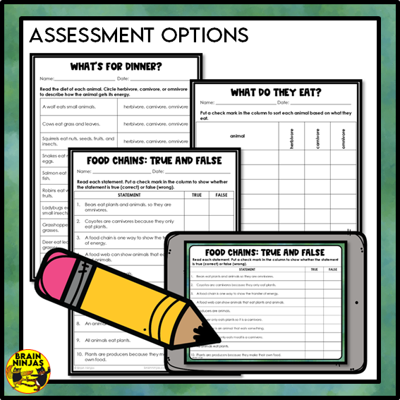 Food Chains Between Canadian Plants and Animals Lesson and Activities | Paper and Digital