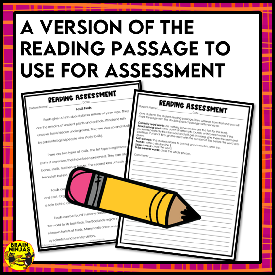 Fossils Reading Comprehension Activities | Paper and Digital