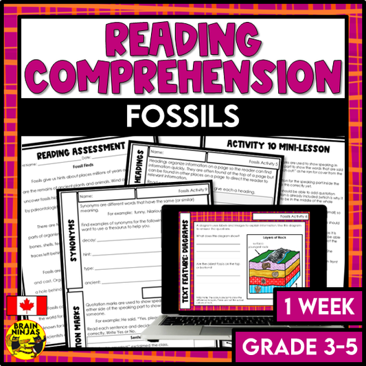 Fossils Reading Comprehension Activities | Paper and Digital