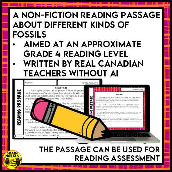 Fossils Reading Comprehension Activities | Paper and Digital