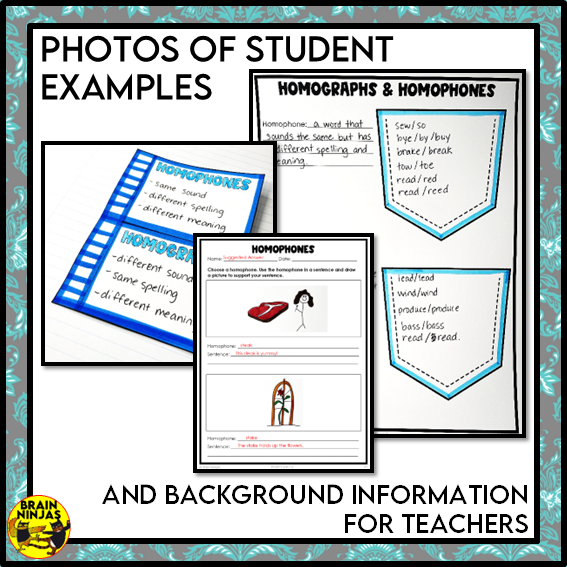 Homophones and Homographs Lessons and Activities | Paper and Digital