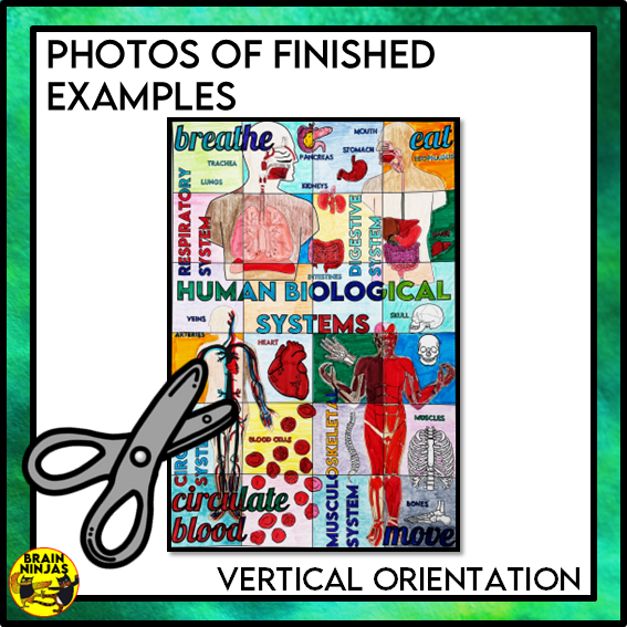 Human Body Systems Collaborative Poster | Paper