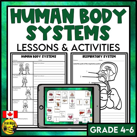 Human Body Systems Lessons and Activities | Musculoskeletal Circulatory Respiratory Digestive | Digital and Paper
