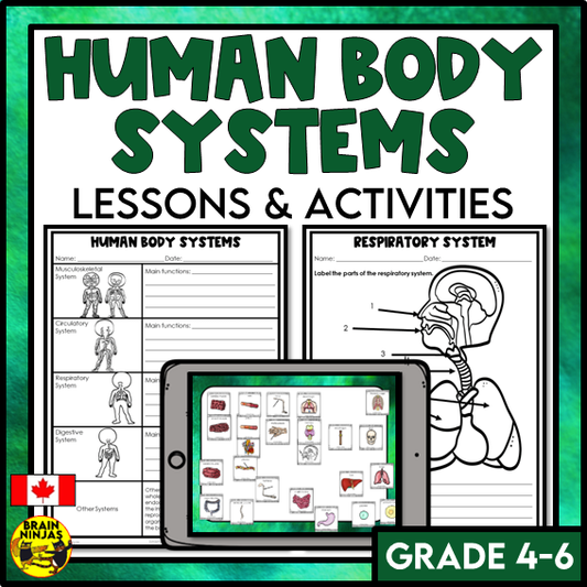 Human Body Systems Lessons and Activities | Musculoskeletal Circulatory Respiratory Digestive | Digital and Paper