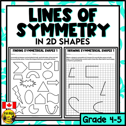Symmetrical 2D Shapes and Lines of Symmetry Math Worksheets | Paper