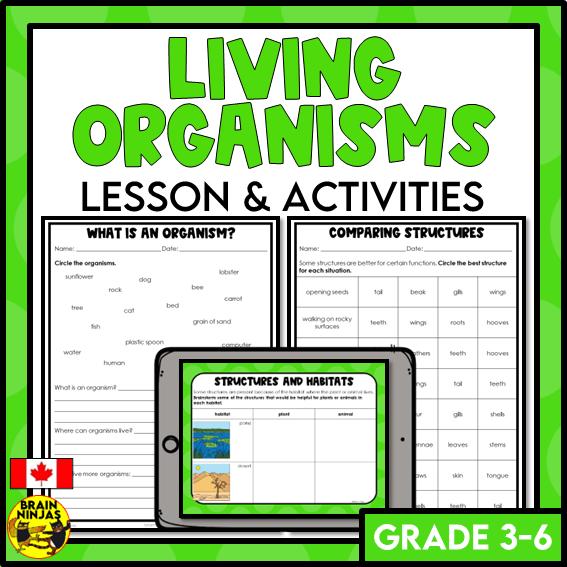 Living Organisms Structures and Functions Lesson and Activities | Digital and Paper