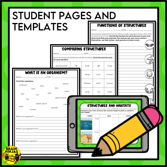 Living Organisms Structures and Functions Lesson and Activities | Digital and Paper