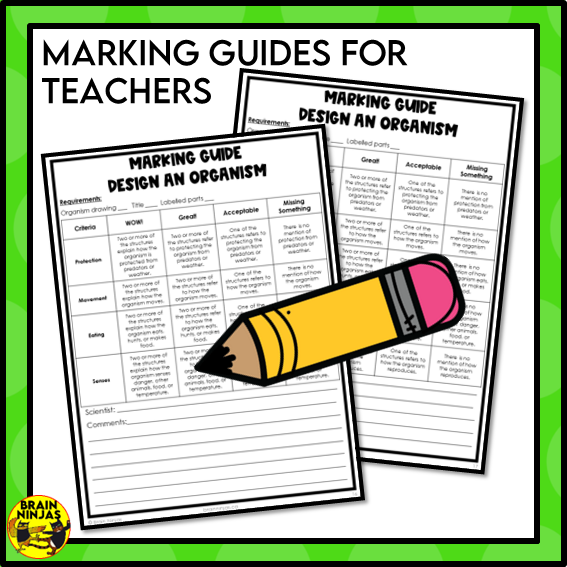 Living Organisms Structures and Functions Lesson and Activities | Digital and Paper