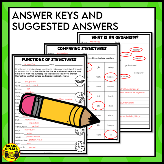 Living Organisms Structures and Functions Lesson and Activities | Digital and Paper