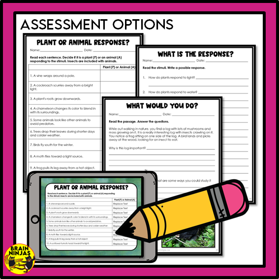 Living Systems Unit Alberta Grade 3 Science Lessons and Activities | Paper and Digital