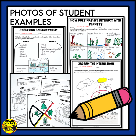 Alberta Science Living Systems Unit Grade 6 Bundle | Paper and Digital