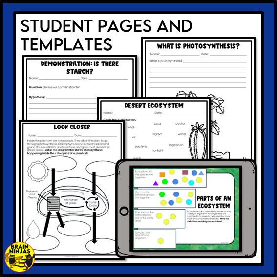 Alberta Science Living Systems Unit Grade 6 Bundle | Paper and Digital