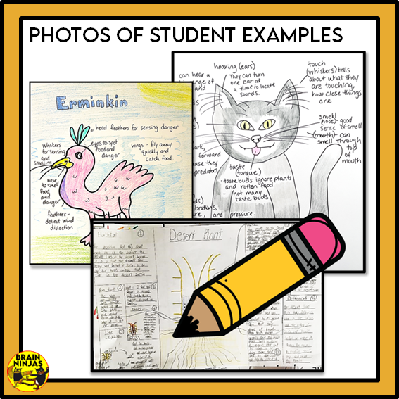 Alberta Science Living Systems Unit Grade 4 Bundle | Paper and Digital