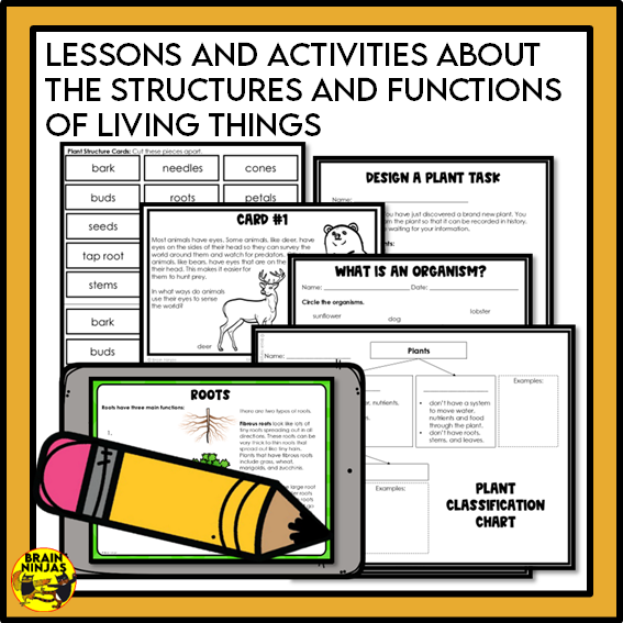 Alberta Science Living Systems Unit Grade 4 Bundle | Paper and Digital