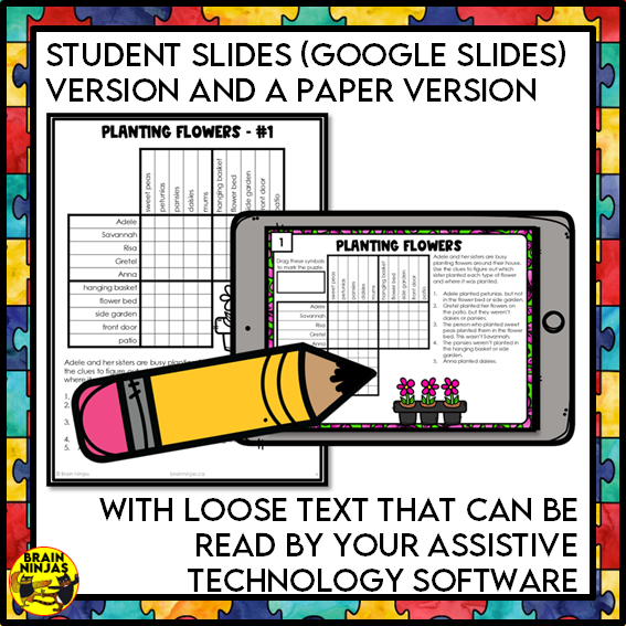 Logic Puzzles Bundle | Paper and Digital