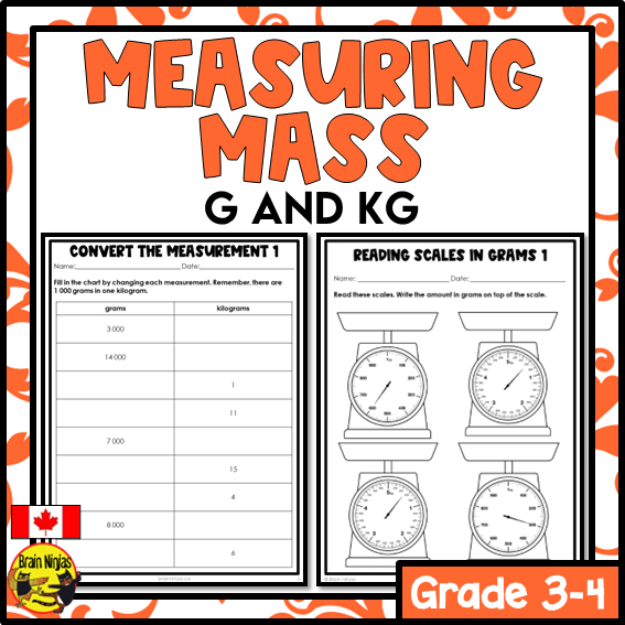 Mass in g and kg Math Worksheets | Paper