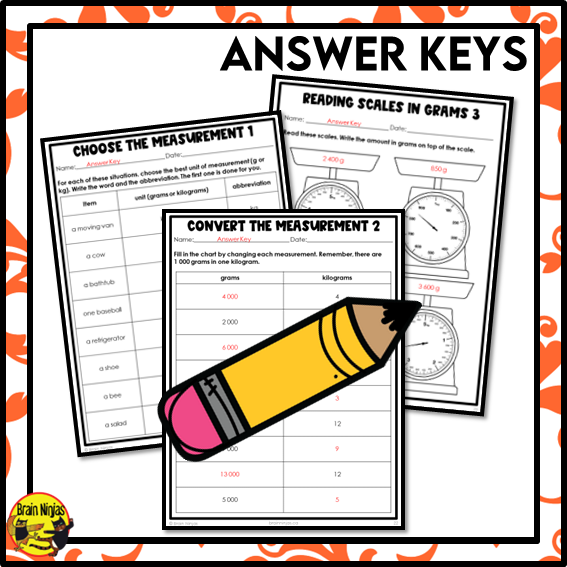 Mass in g and kg Math Worksheets | Paper