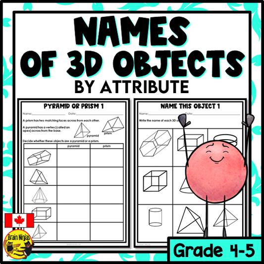 3D Objects Names and Identifying Math Worksheets | Paper