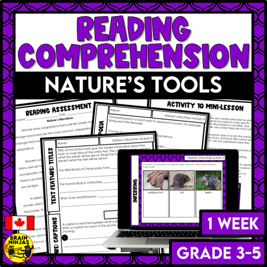 Nature's Tools Reading Comprehension Activities | Paper and Digital