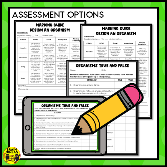 Living Organisms Structures and Functions Lesson and Activities | Digital and Paper
