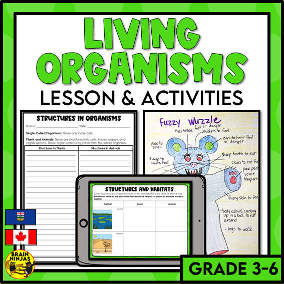 Living Organisms Structures and Functions Lesson and Activities | Digital and Paper