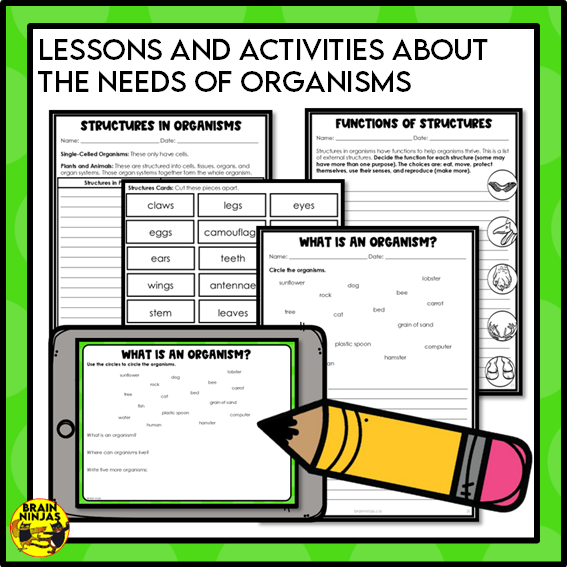 Living Organisms Structures and Functions Lesson and Activities | Digital and Paper