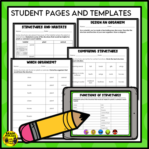Living Organisms Structures and Functions Lesson and Activities | Digital and Paper