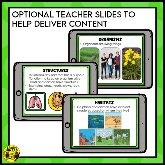 Living Organisms Structures and Functions Lesson and Activities | Digital and Paper