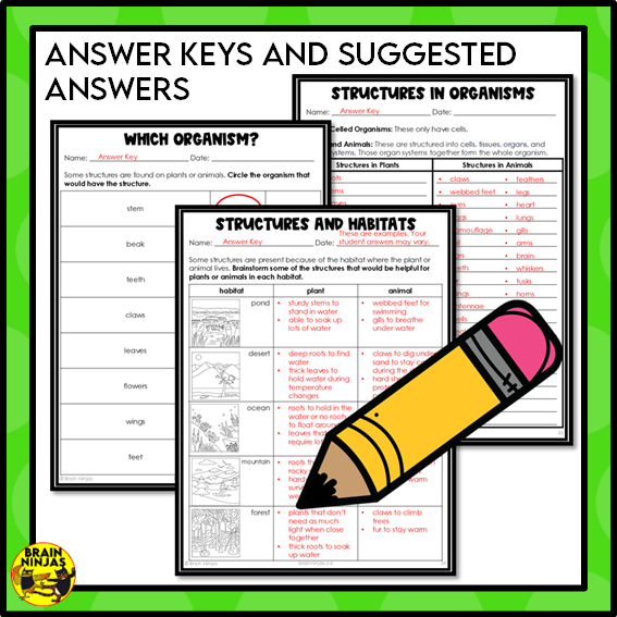 Living Organisms Structures and Functions Lesson and Activities | Digital and Paper