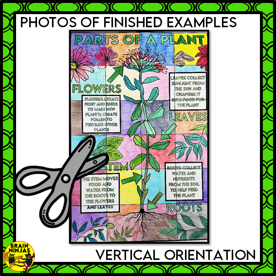 Parts of Plants Collaborative Poster Colouring Activity Living Systems | Paper